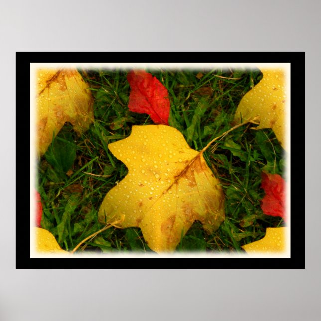 Regen fällt Autumn Leaves Poster (Vorne)