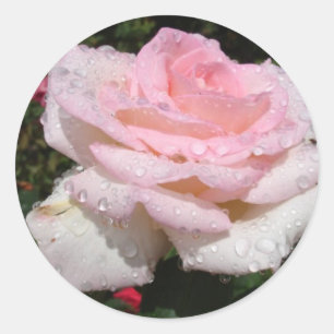 Regen - gesprenkelte Rose Runder Aufkleber