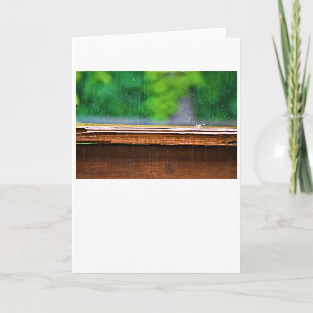 Regen, Karte (Vorderseite)