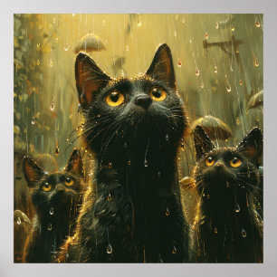 Regen Katzen und Hunde? Poster