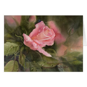 Regen-Tropfen auf Rosen