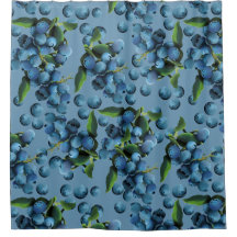 Regen von Blaubeeren