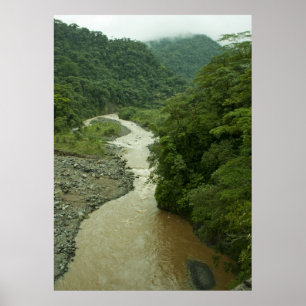 Regen-Waldfluß Poster