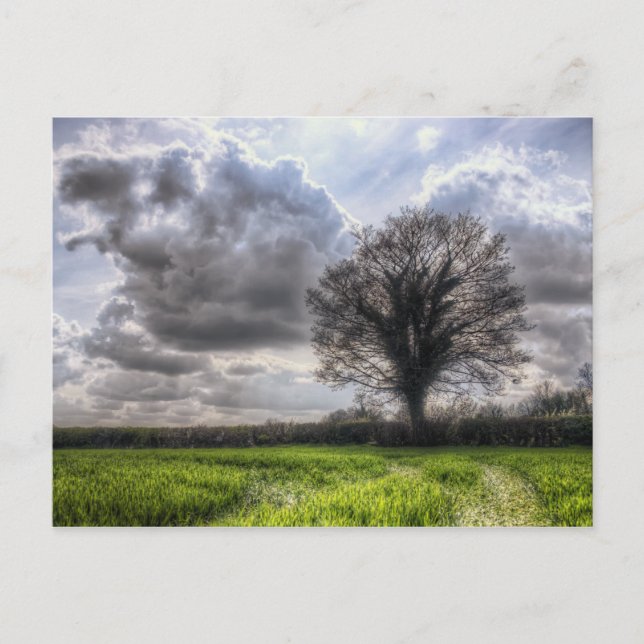 Regen Wolken im Frühjahr HDR. Postkarte (Vorderseite)