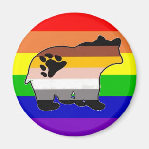 Regenbogen-Bärn-Stolz Magnet