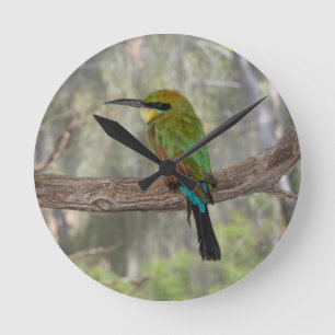 Regenbogen Bieneesser Vogel, Australien Runde Wanduhr