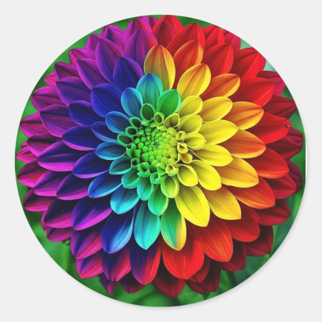 Regenbogen-Blume - farbenfrohe Dahlia Runder Aufkleber (Vorderseite)