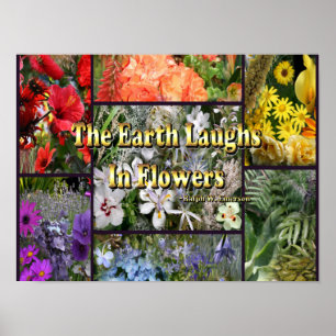 Regenbogen-Blumen - Erde lacht durch Emerson Poster
