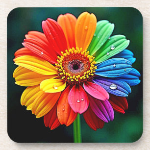 Regenbogen-Blüten-Kunst Getränkeuntersetzer