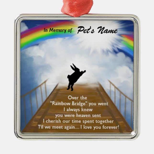 Regenbogen-Brücken-Denkmal für Kaninchen Silbernes Ornament (Vorne)