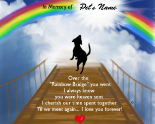 Regenbogenbrucke Poster Zazzle Ch