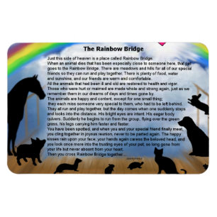 Regenbogen-Brücken-Gedicht Magnet