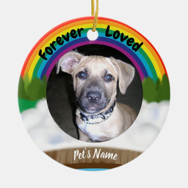 Regenbogen-Brücken-Haustier-Verlust Keramik Ornament (Vorne)