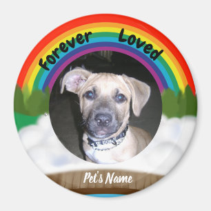 Regenbogen-Brücken-Haustier-Verlust Magnet