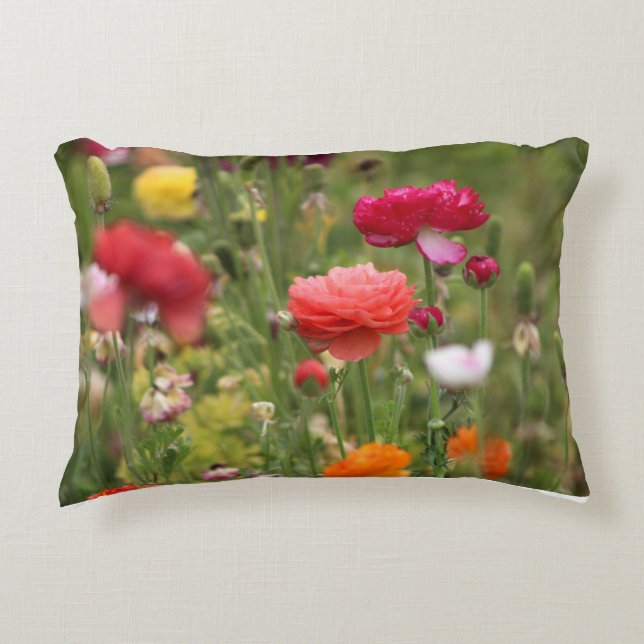 Regenbogen des Ranunculus Dekokissen (Vorderseite)