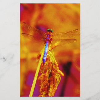 Regenbogen-Dragonfly auf Bernstein und Fuschia Briefpapier
