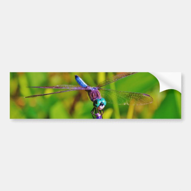 Regenbogen-Dragonfly und Blume Autoaufkleber (Vorne)