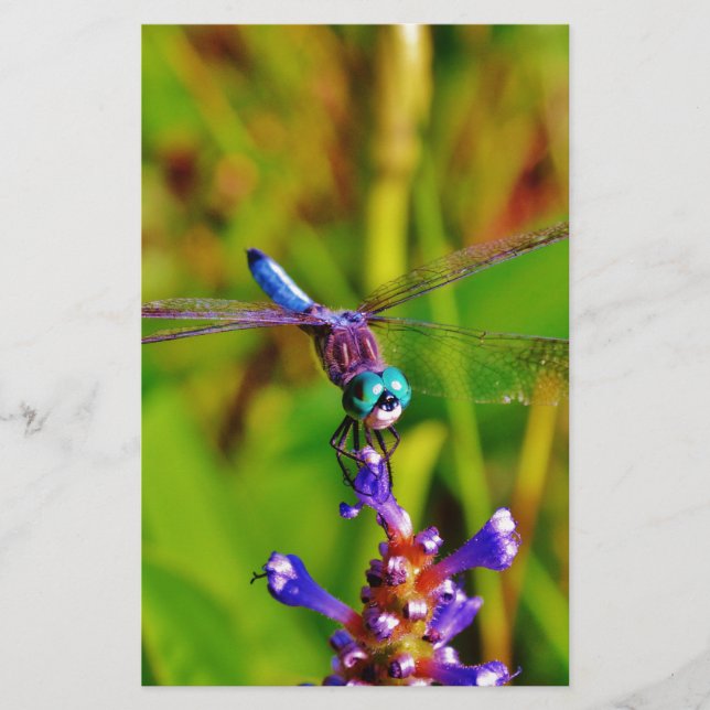 Regenbogen-Dragonfly und Blume Briefpapier (Vorderseite)