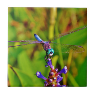 Regenbogen-Dragonfly und Blume Fliese