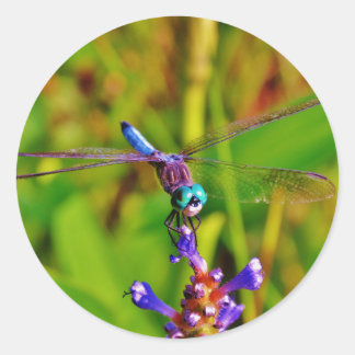 Regenbogen-Dragonfly und Blume Runder Aufkleber