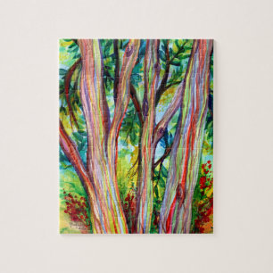 Regenbogen Eukalyptus Forest 2
