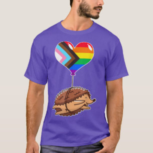Regenbogen-Fortschritt-Igel sexuelle Identität N T-Shirt