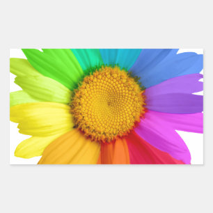 Regenbogen-Gänseblümchen Rechteckiger Aufkleber