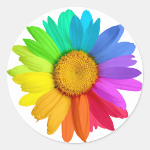 Regenbogen-Gänseblümchen Runder Aufkleber