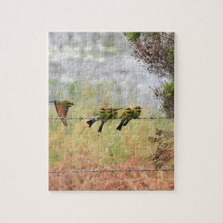 REGENBOGEN-HONIG-ESSER-VOGEL QUEENSLAND AUSTRALIEN