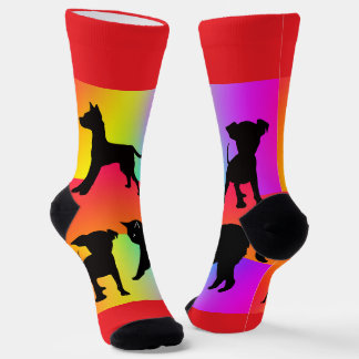 Regenbogen Hunde Und Katzen Socken