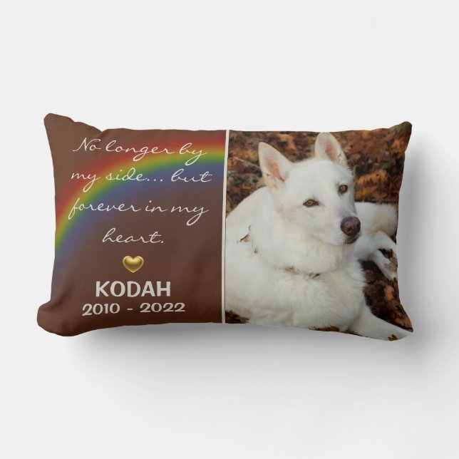 Regenbogen im Gedächtnis des Haustier-Katze-Gedenk Lendenkissen (Vorderseite)