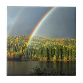 Regenbogen irrig Glück Natur Himmelswasser Bäume Fliese