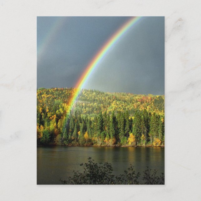 Regenbogen irrig Glück Natur Himmelswasser Bäume Postkarte (Vorderseite)