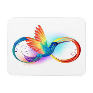 Regenbogen-Kolibri mit Unendlichkeitssymbol Magnet