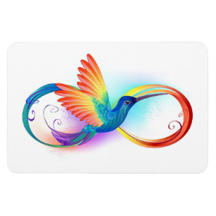 Regenbogen-Kolibri mit Unendlichkeitssymbol Magnet