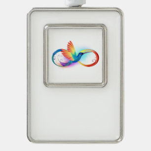 Regenbogen-Kolibri mit Unendlichkeitssymbol Rahmen-Ornament Silber