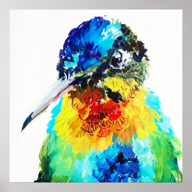 Regenbogen Kolibri Poster (Vorne)