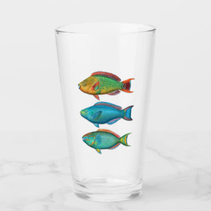 Regenbogen, Königin und Stoplight Parrotfischglas Glas