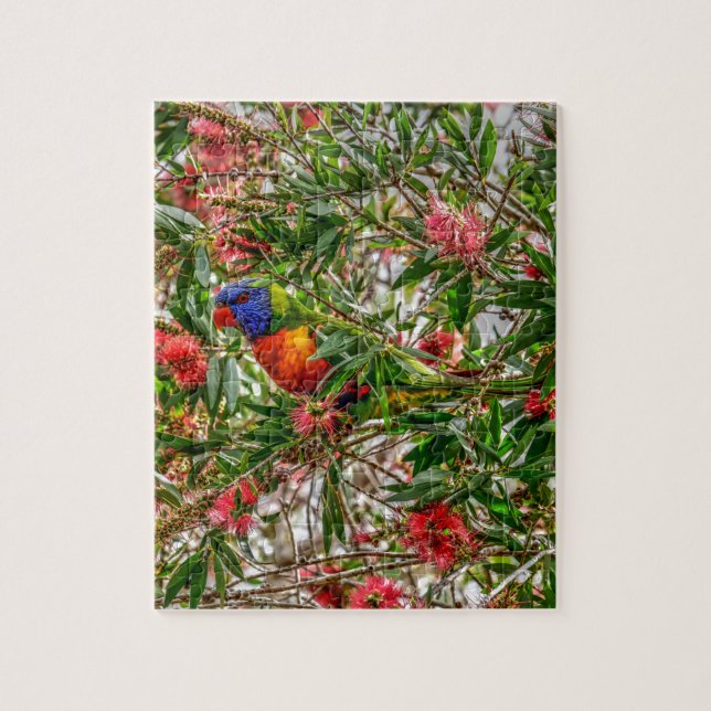 REGENBOGEN LORIKEET LÄNDLICHES QUEENSLAND (Vertikal)