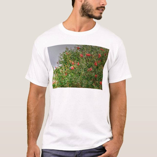 REGENBOGEN LORIKEET LÄNDLICHES QUEENSLAND T-Shirt (Vorderseite)