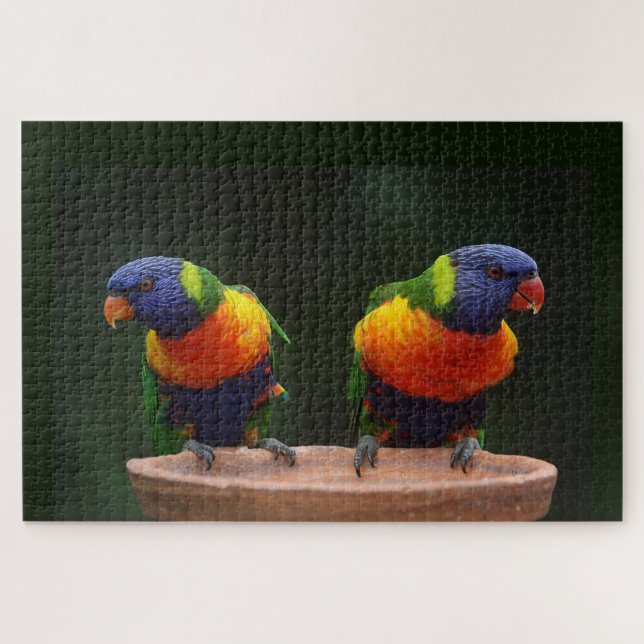Regenbogen Lorikeet Papageien (Horizontal)
