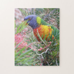 Regenbogen Lorikeet Puzzlespiel