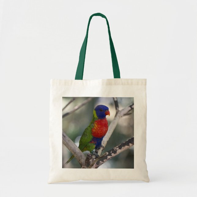 Regenbogen Lorikeet Tasche (Vorne)