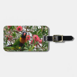 REGENBOGEN LORIKETT IM BAUM QUEENSLAND AUSTRALIEN GEPÄCKANHÄNGER