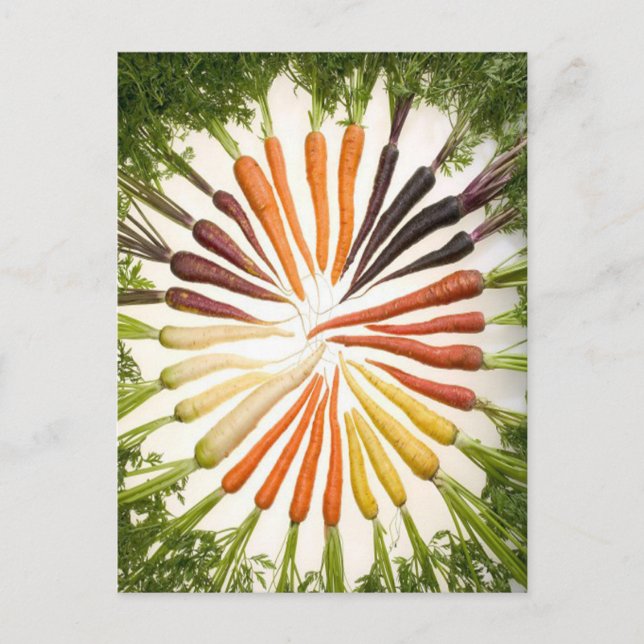 Regenbogen-Multicolor-Karotten Postkarte (Vorderseite)