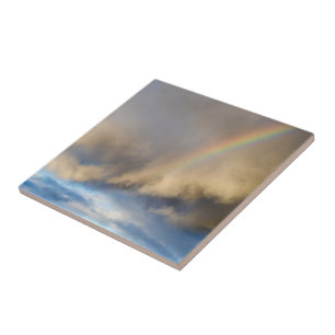 Regenbogen-Rebellion Fliese
