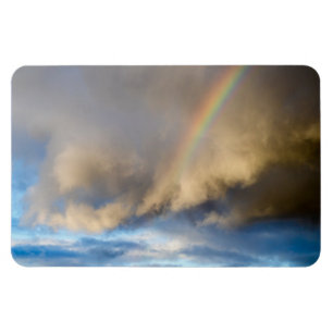 Regenbogen-Rebellion Magnet