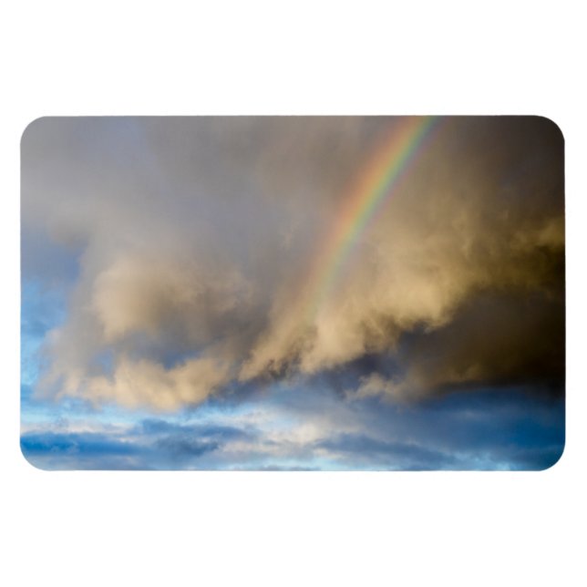 Regenbogen-Rebellion Magnet (Horizontal)