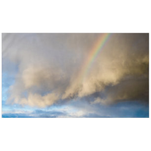 Regenbogen-Rebellion Tischdecke
