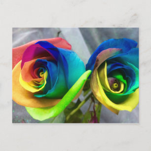 Regenbogen-Rosenpostkarte Postkarte